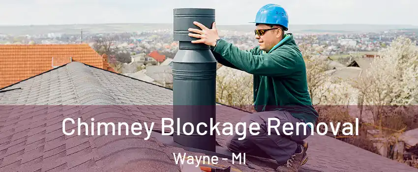  Chimney Blockage Removal Wayne - MI