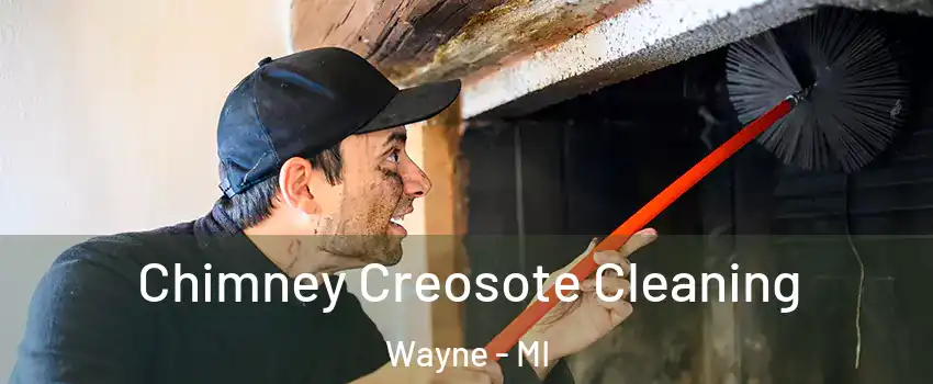  Chimney Creosote Cleaning Wayne - MI