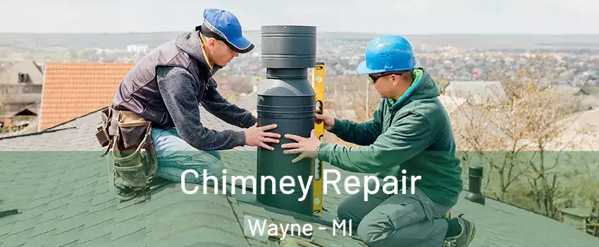  Chimney Repair Wayne - MI