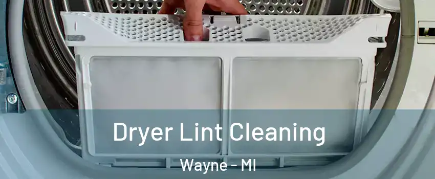  Dryer Lint Cleaning Wayne - MI