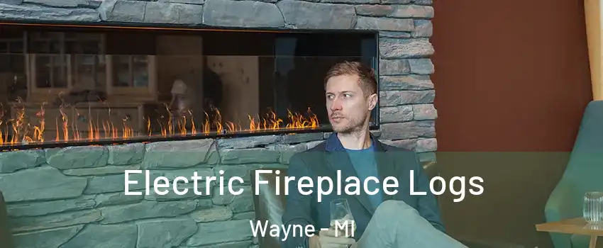  Electric Fireplace Logs Wayne - MI