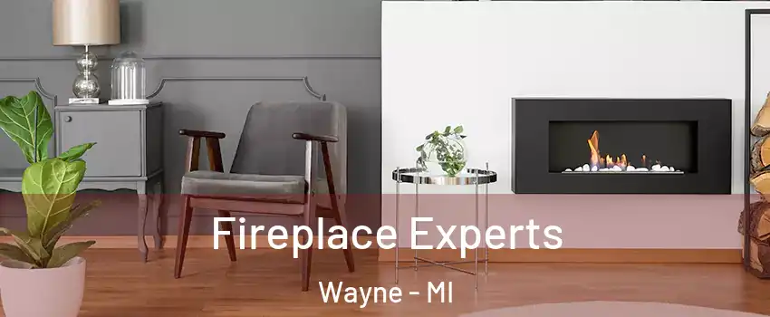  Fireplace Experts Wayne - MI