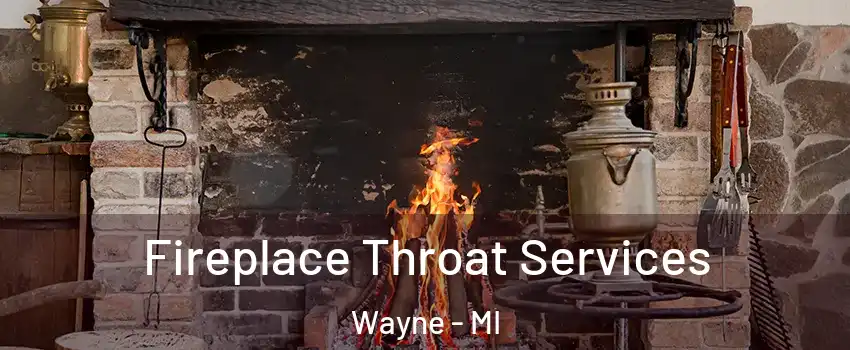  Fireplace Throat Services Wayne - MI