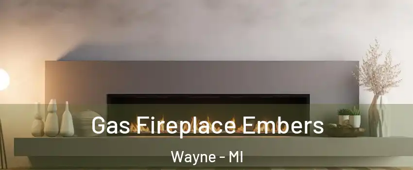  Gas Fireplace Embers Wayne - MI