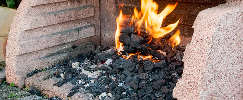 Remove Creosote From Brick in Wayne, MI