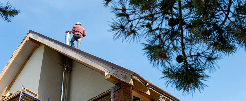 Birds Removal Contractors from Chimney in Wayne, MI