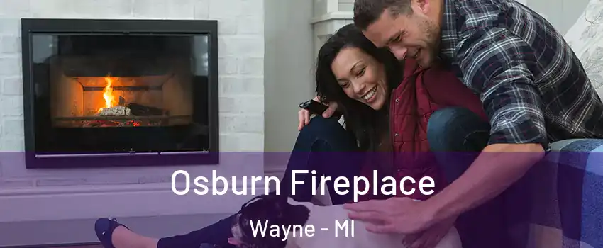  Osburn Fireplace Wayne - MI