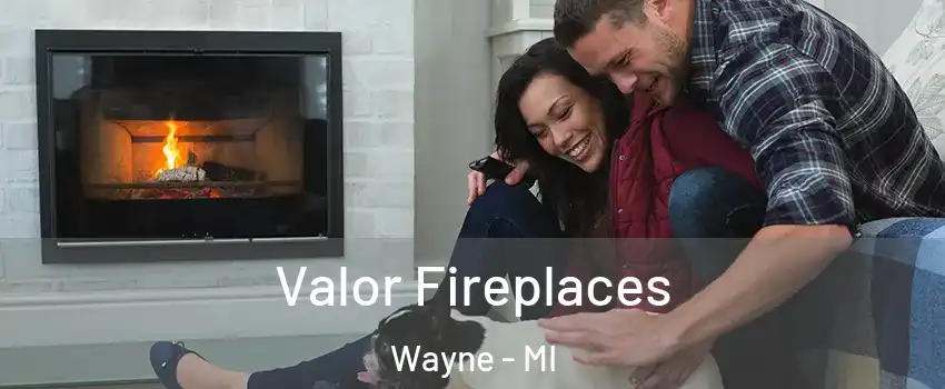  Valor Fireplaces Wayne - MI